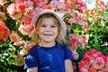 Portrait of little toddler girl in blossoming rose garden. Cute beautiful lovely child having fun with roses and flowers Royalty Free Stock Photo