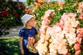 Portrait of little toddler girl in blossoming rose garden. Cute beautiful lovely child having fun with roses and flowers Royalty Free Stock Photo