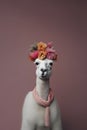portrait of a llama wearing a scarf with flowers on her head on a pink background, Generative AI