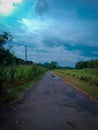 Landscape of a lonely street scene, surrounded by beautiful plantations and trees