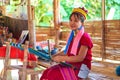 Portrait of a Long Necked Tribe Woman