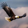 A portrait of a majestic bald eagle soaring high in the sky3