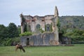 Portrait Of A Majestic Exemplary Camel Passing In Front Of A Broken Church In The Natural Park Of Cabarceno Old Mine For