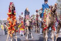 Portrait of an male bhangra dance artist at camel festival bikaner Royalty Free Stock Photo