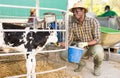 Portrait of male farm worker feeding calves Royalty Free Stock Photo