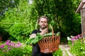 Portrait of a male farmer holding a basket of vegetables.Harvest of ecologically clean ripe vegetables and fruits Royalty Free Stock Photo