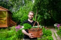 Portrait of a male farmer holding a basket of vegetables.Harvest of ecologically clean ripe vegetables and fruits Royalty Free Stock Photo