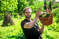 Portrait of a male farmer holding a basket of vegetables.Harvest of ecologically clean ripe vegetables and fruits Royalty Free Stock Photo