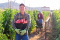 Portrait of a male farmer standing with a bucket of harvested tomatoes