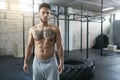 Portrait Of Male Fitness Athlete At Crossfit Gym Royalty Free Stock Photo