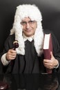 Portrait Of Male Lawyer Holding Judge Gavel And Book Royalty Free Stock Photo