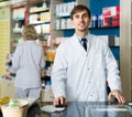 Portrait of male pharmacists working in modern farmacy Royalty Free Stock Photo