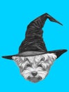 Portrait of Maltese Poodle with witch hat.