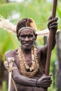 Portrait of a man Asmat tribe. Royalty Free Stock Photo