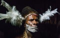 Portrait of a man Asmat tribe. Royalty Free Stock Photo