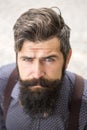 Portrait of man with beard Royalty Free Stock Photo