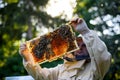 Portrait of man beekeeper holding honeycomb frame full of bees in apiary. Royalty Free Stock Photo