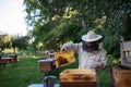 Portrait of man beekeeper holding honeycomb frame full of bees in apiary. Royalty Free Stock Photo