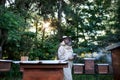 Portrait of man beekeeper working in apiary, using bee smoker.