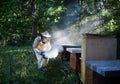 Portrait of man beekeeper working in apiary, using bee smoker. Royalty Free Stock Photo