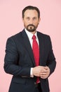 Portrait of man in blue suit with closed hands. Bearded Businessman in black suit on pastel pink background isolated in studio Royalty Free Stock Photo