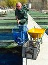 Portrait of man fish farm worker Royalty Free Stock Photo