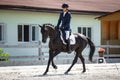 Man rider and black stallion horse galloping during equestrian dressage competition Royalty Free Stock Photo