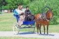 Portrait of man and woman in a carriage. Royalty Free Stock Photo