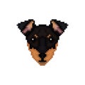 Portrait of a Manchester terrier in pixel art style.