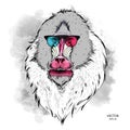 Portrait of the Mandrill in the colored glasses. Think different. Vector illustration. Royalty Free Stock Photo