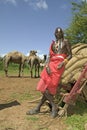 Portrait of Masai Warrior safari guide in traditional red toga and his camels at Lewa Wildlife Conservancy in North Kenya, Africa