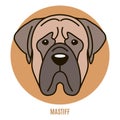 Portrait of Mastiff