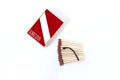 Portrait of matches with one burnt matchstick and box Royalty Free Stock Photo