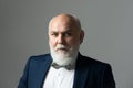 Portrait of a mature businessman. Closeup portrait of an elegant senior man in suit with grey hair isolated on gray Royalty Free Stock Photo