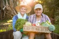 Portrait of mature couple carrying vegetables crate at garden Royalty Free Stock Photo