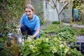 Portrait Of Mature Female Landscape Gardener Planting Plants In Garden Royalty Free Stock Photo