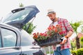 Portrait of mature gardener putting flowers on crate in car trunk for delivery