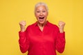 Portrait of a mature italian woman doing a winner gesture Royalty Free Stock Photo