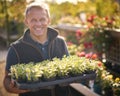 Portrait Of Mature Man Working Outdoors In Garden Centre Carrying Tray Of Seedling Plants Royalty Free Stock Photo