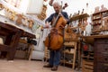 Portrait of mature violin maker