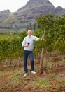 He is passionate about his wines. Portrait of a mature wine maker holding a glass of red wine while standing in the Royalty Free Stock Photo