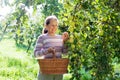 Mature  woman    at  apple tree Royalty Free Stock Photo