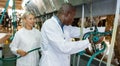 Two workers near milking line Royalty Free Stock Photo