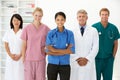 Portrait of medical professionals Royalty Free Stock Photo