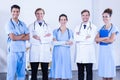 Portrait of medical team standing together Royalty Free Stock Photo