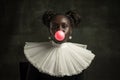 Portrait of medieval African young woman in black vintage dress with big white collar posing isolated on dark green