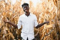 Portrait of a Mexican happy farmer cultivating corn Royalty Free Stock Photo