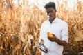 Portrait of a Mexican happy farmer cultivating corn Royalty Free Stock Photo