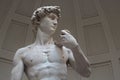 Portrait of the Michelangelo`s David in Florence, Italy Royalty Free Stock Photo