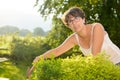 Portrait of a middle-aged brunette woman with eyeglasses, outdoor Royalty Free Stock Photo